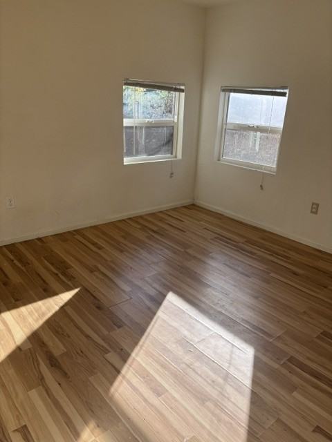 2362 Redwood Ave #NA - Photo 5 of 7