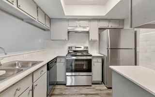 featured image of 4021 Steck Ave