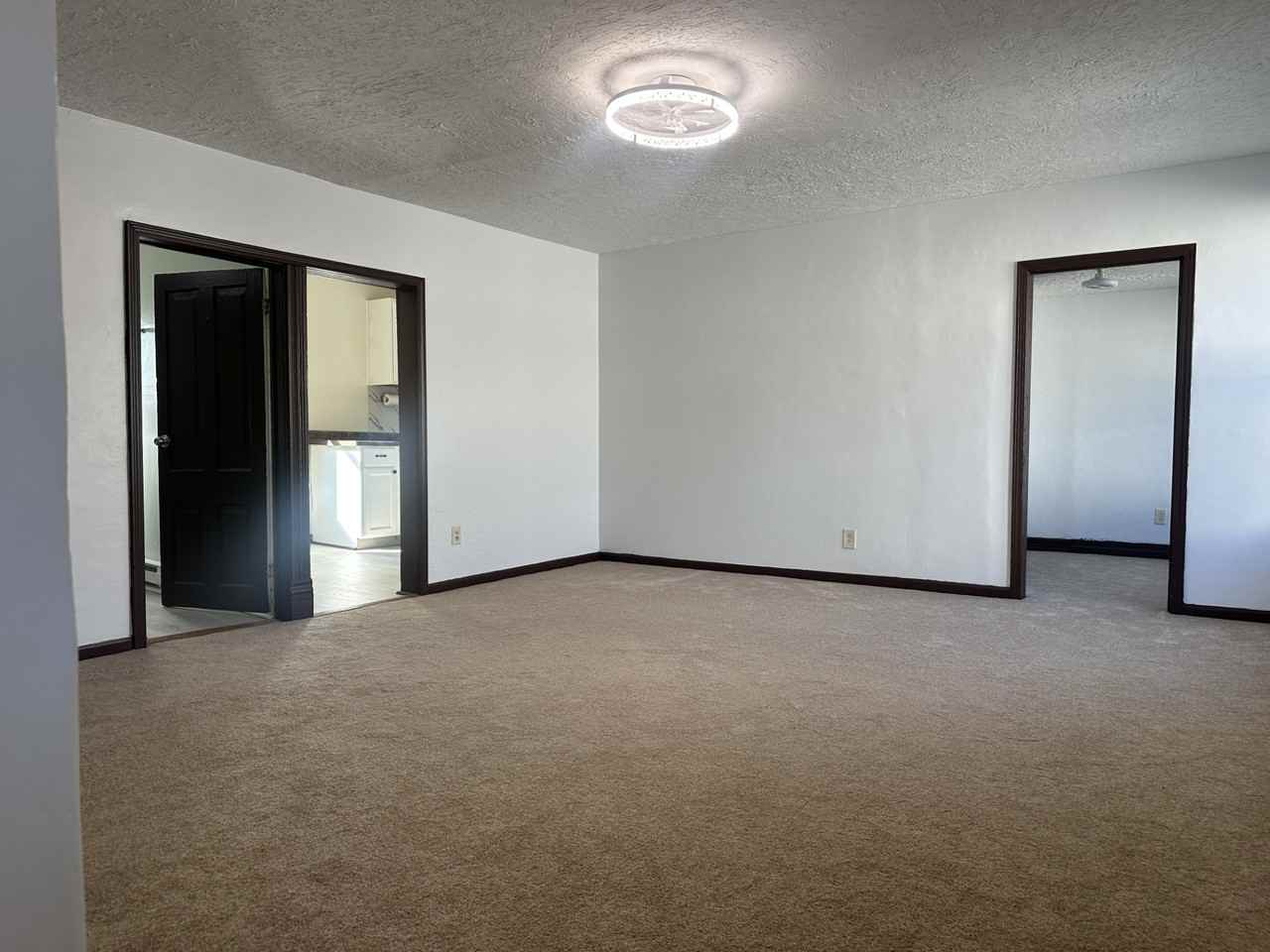 410 W 14th St #1 - Photo 4 of 20