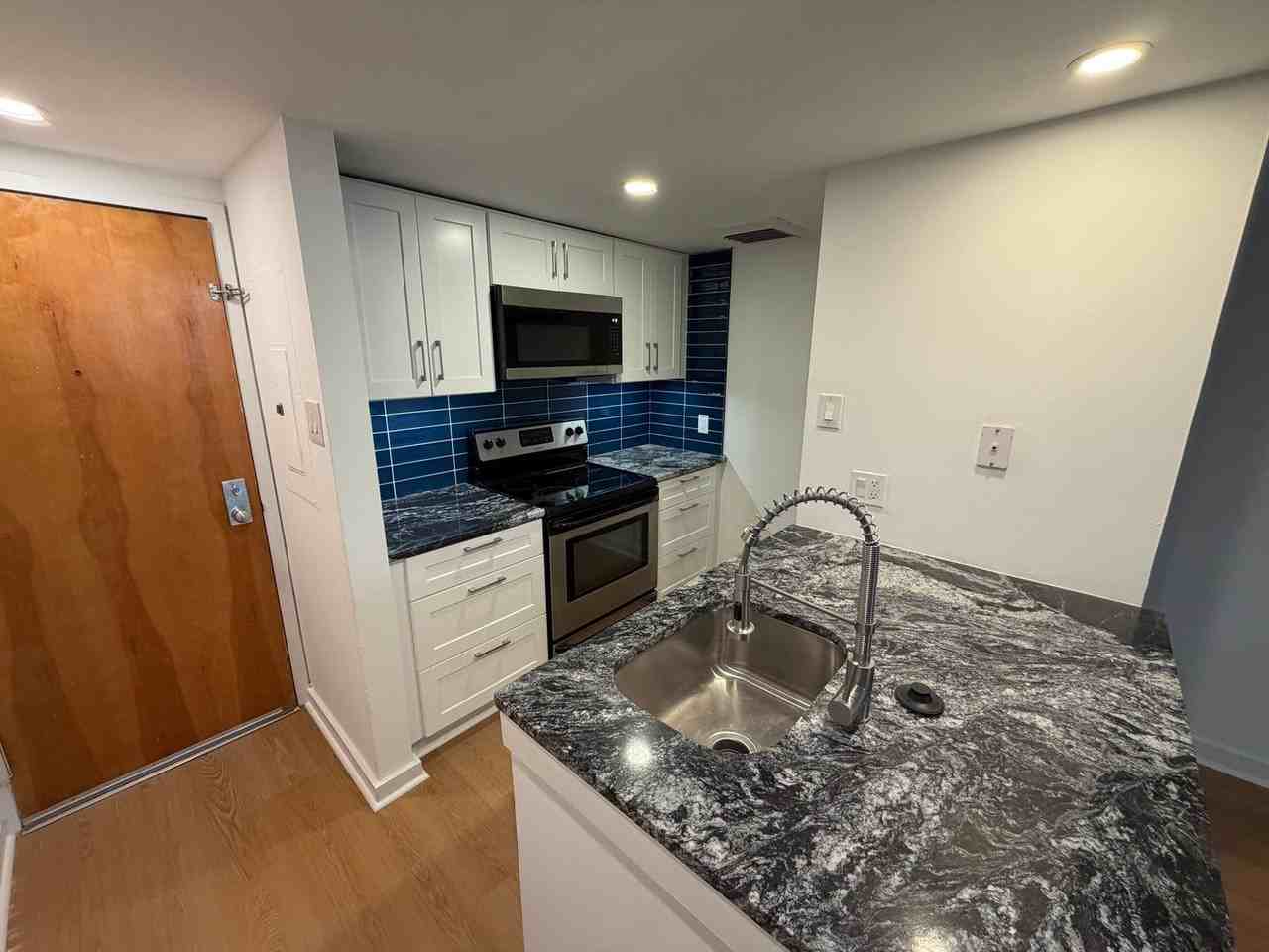 237 Chestnut St #1-203 - Photo 2 of 13