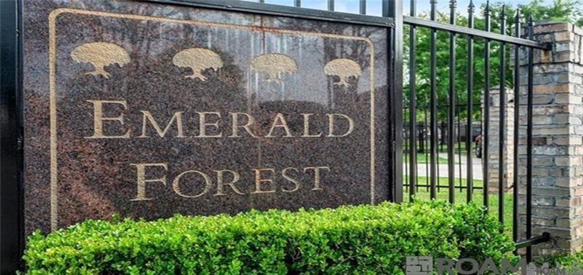 350 Emerald Forest Blvd - Photo 2 of 18