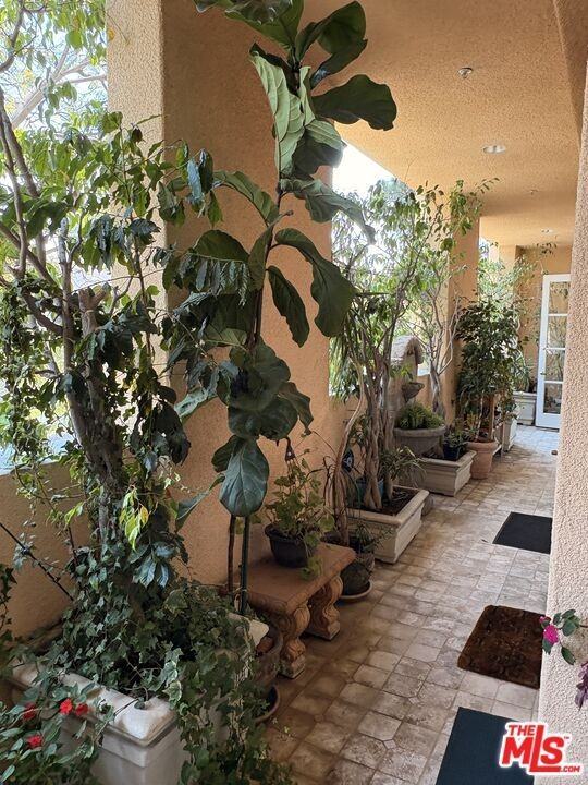 11500 San Vicente Blvd ##223 - Photo 6 of 29