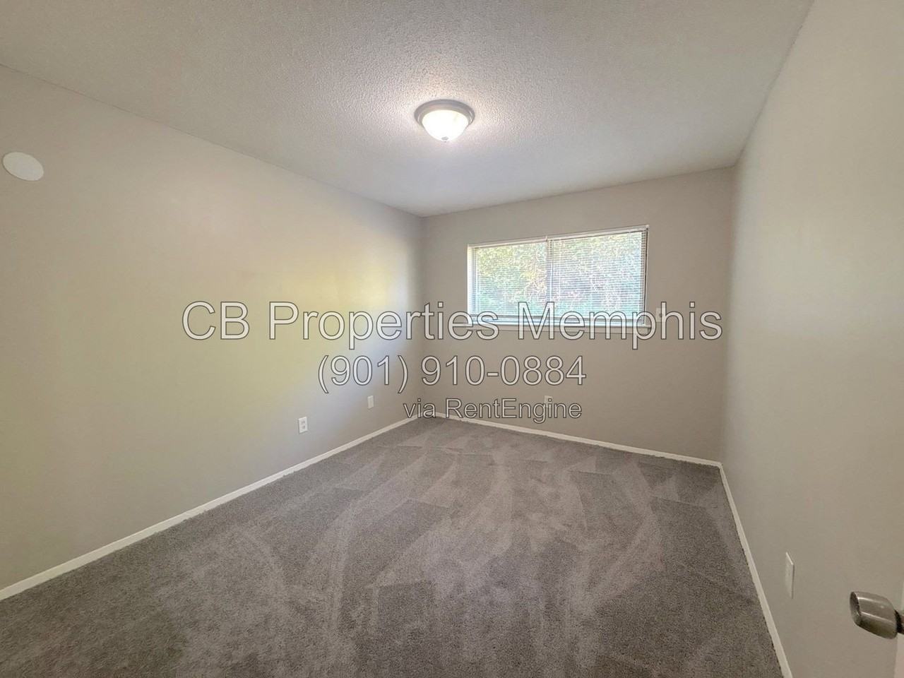4939 Manson Rd - Photo 4 of 15
