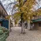 Casa De Caro Apartments - Photo 5 of 23