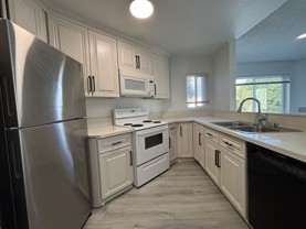 7405 Charmant Dr #2036 - Photo 1 of 1