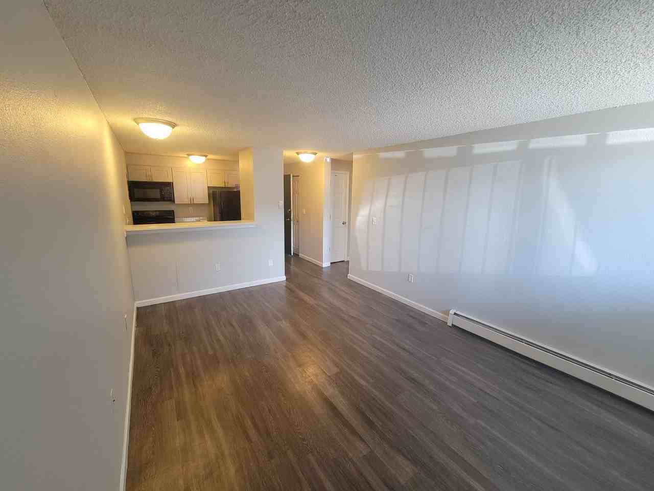 Elm Grove Apartments – Studio & 1 - Photo 5 of 24