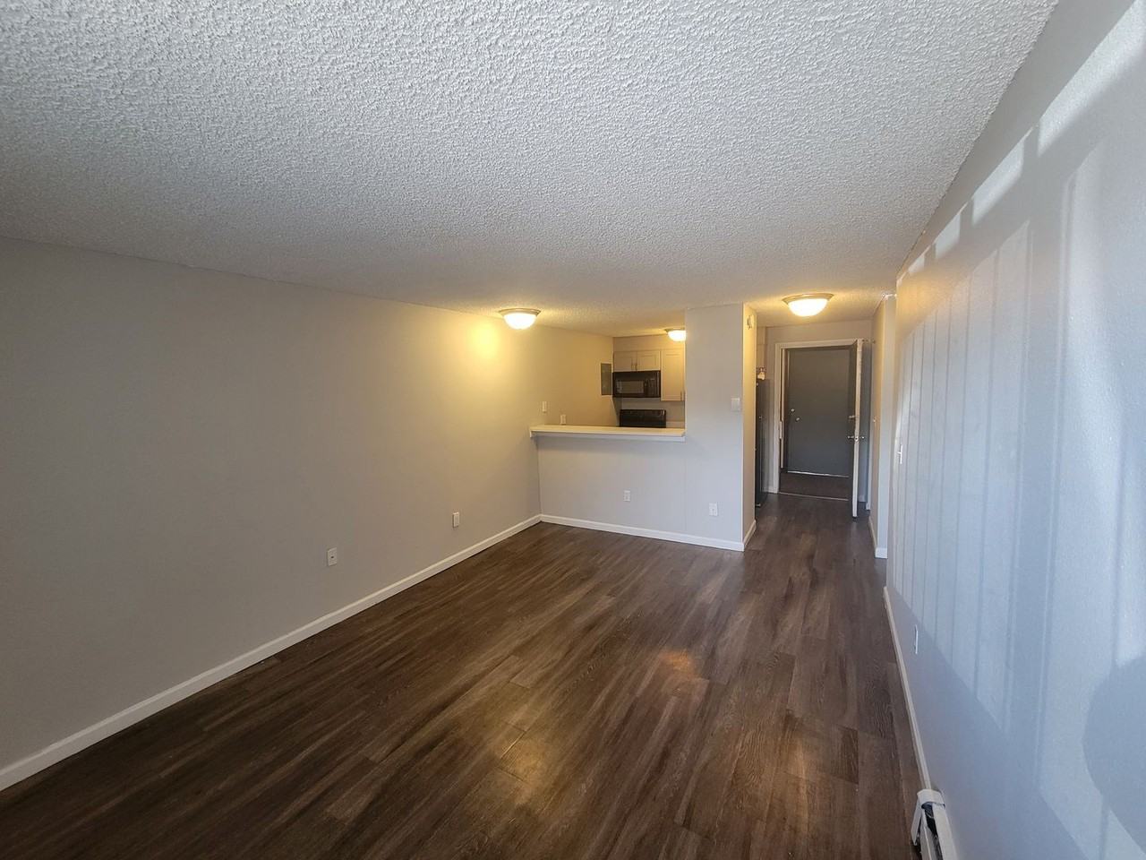 Elm Grove Apartments – Studio & 1 - Photo 6 of 24