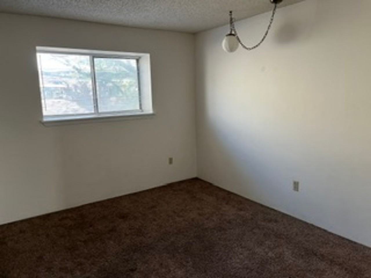 Pepper Tree Amarillo 168 LLC - Photo 4 of 8
