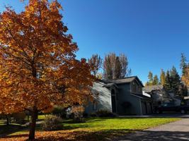 featured image of 1750 E Lakeshore Dr #151