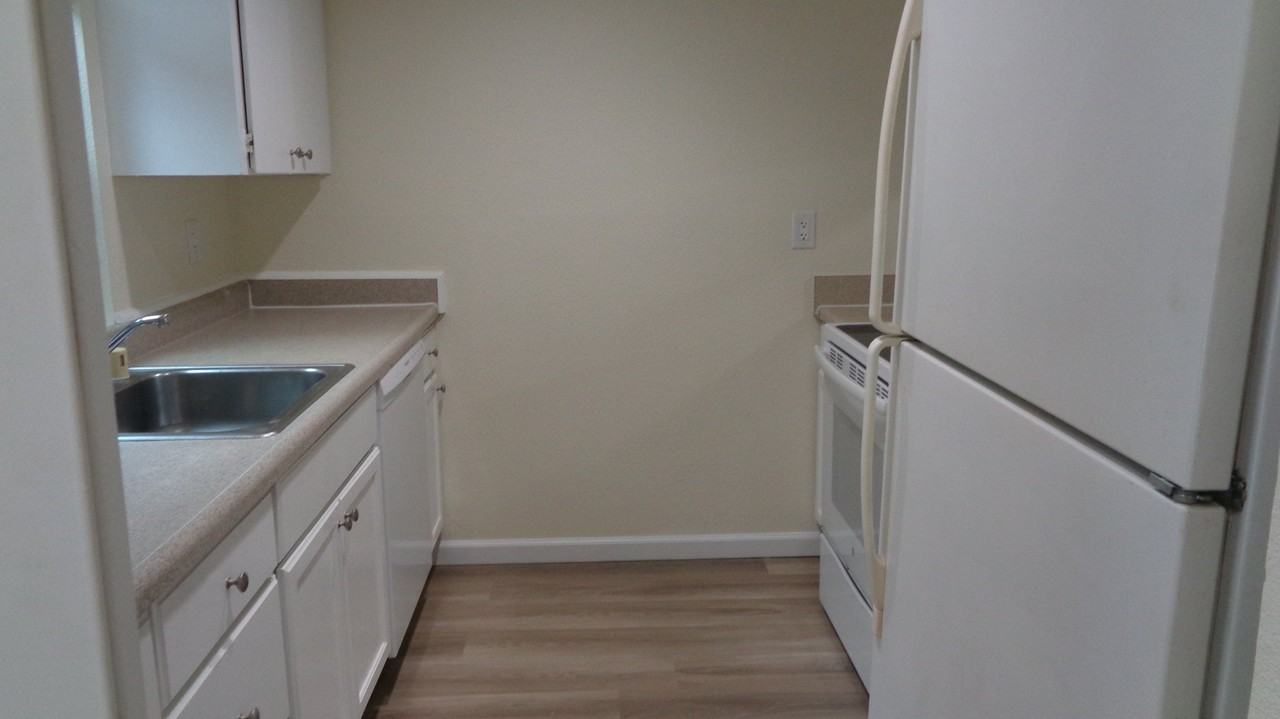 12428 Meridian Ave S #2 - Photo 2 of 18