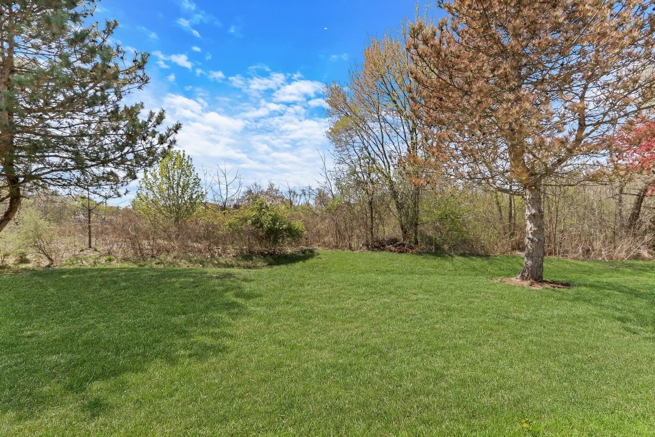 38312 Imperial Ln - Photo 2 of 33