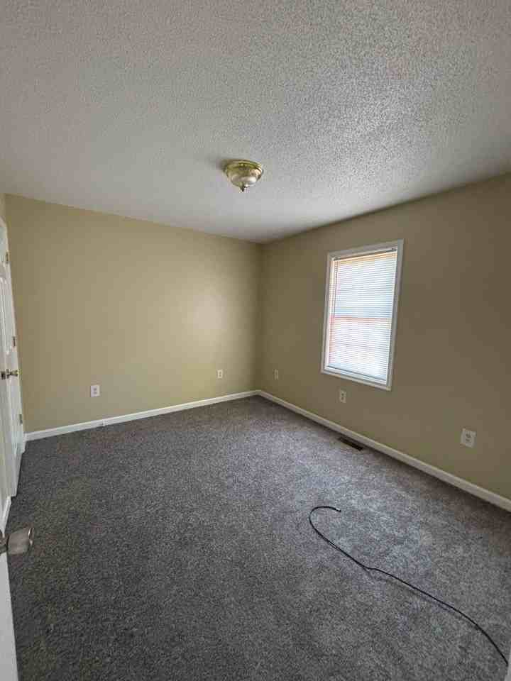 533 Bluff Ave - Photo 5 of 8