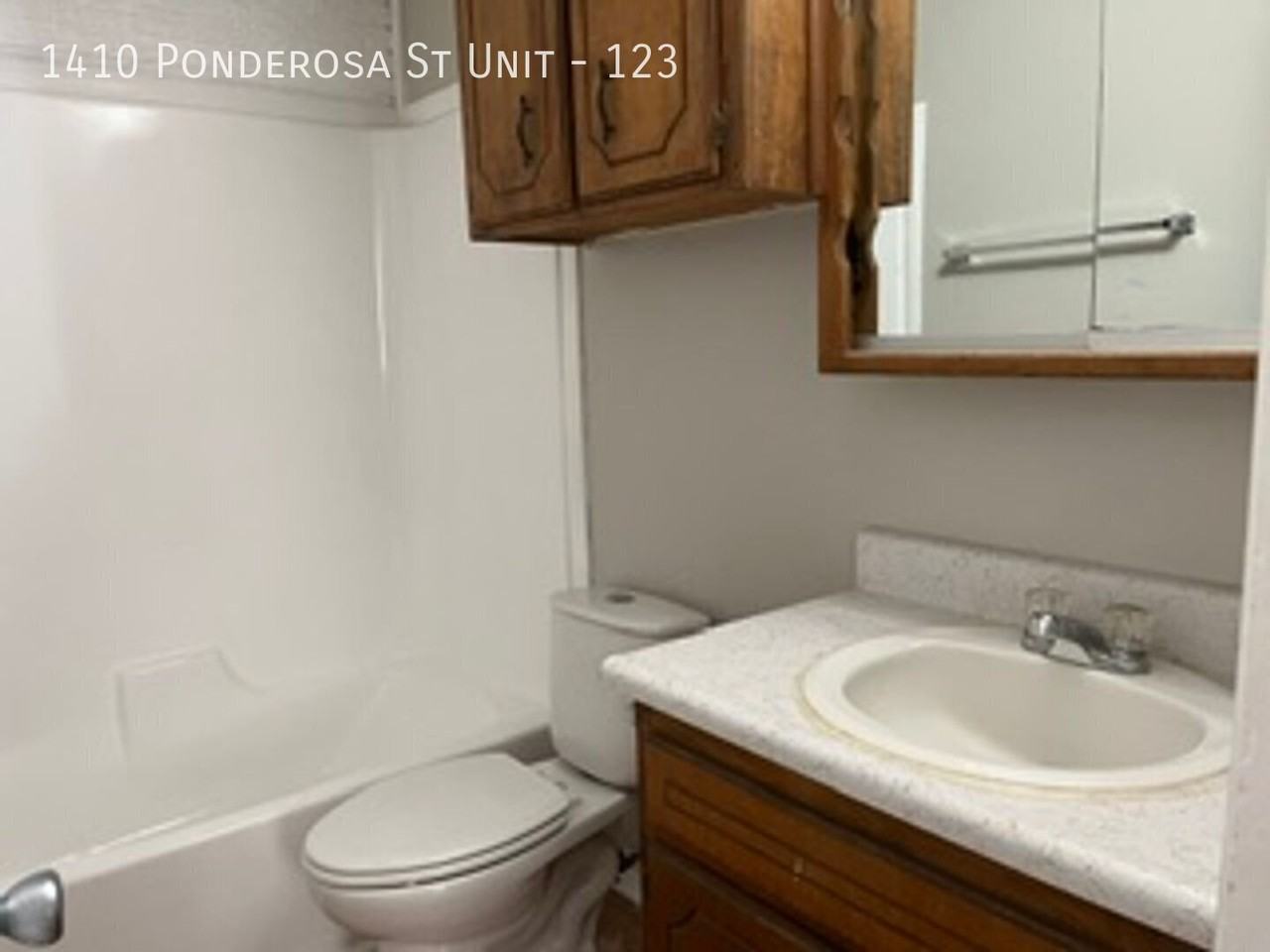 1410 Ponderosa St #123 - Photo 4 of 4