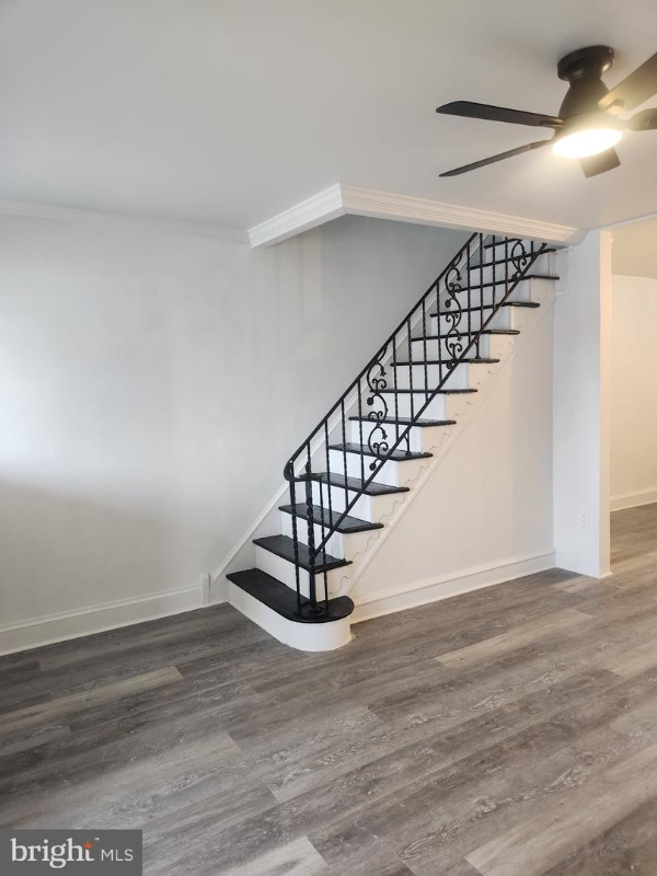 1803 Bridge St - Photo 4 of 11