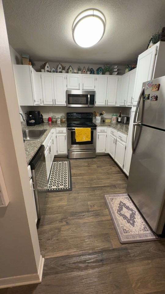 1455 Villa Juno Dr N - Photo 3 of 8