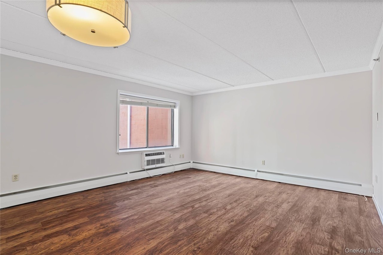 123 Mamaroneck Ave #215 - Photo 7 of 16