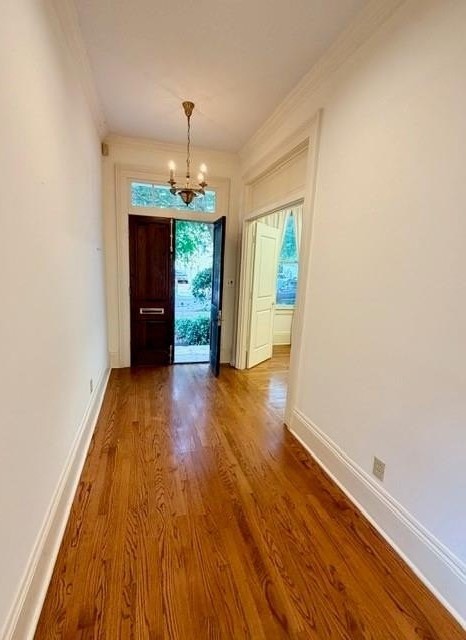 6123 Clara St - Photo 6 of 39