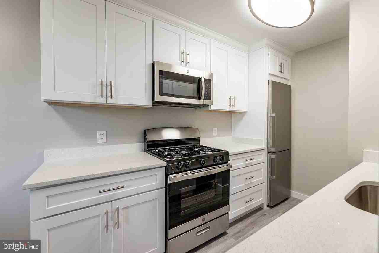 10320 Rockville Pike #102 - Photo 4 of 11