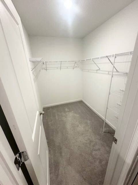 3499 Mildred Way - Photo 6 of 10