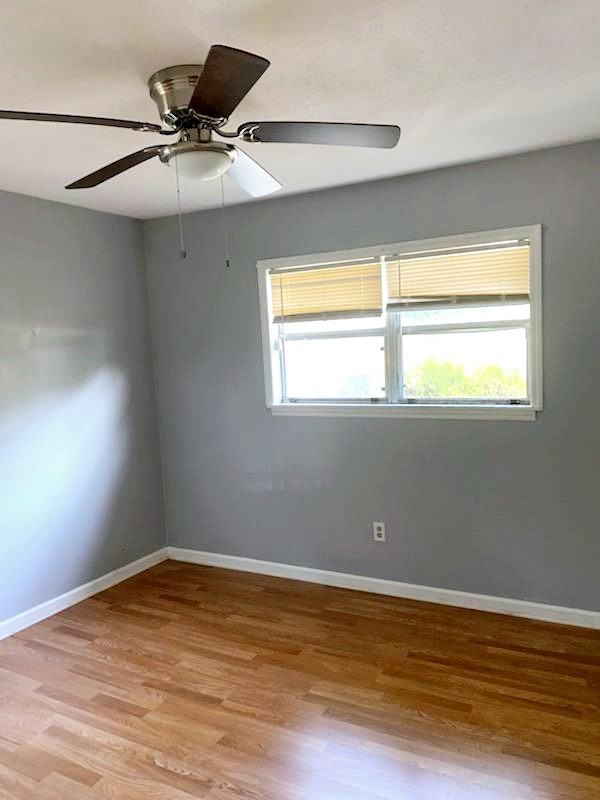 242 N Lake Dr - Photo 5 of 12
