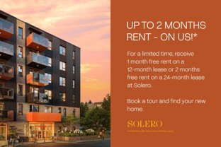Solero - Photo 1 of 1