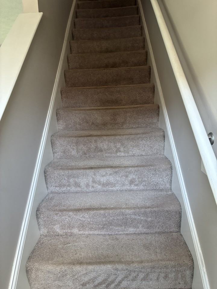 102 Arbor Meadow Ct #1 - Photo 7 of 20