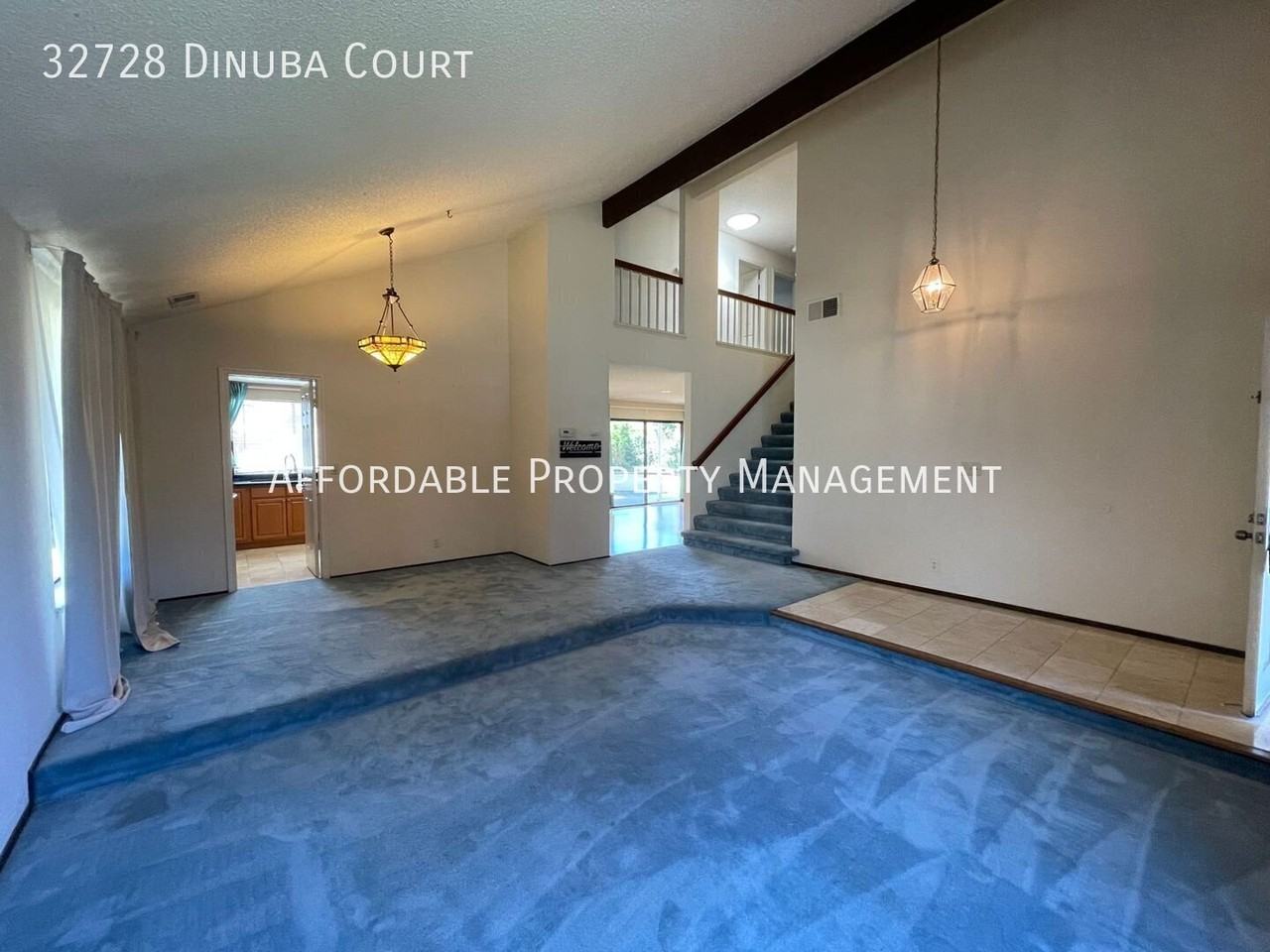 32728 Dinuba Ct - Photo 3 of 23