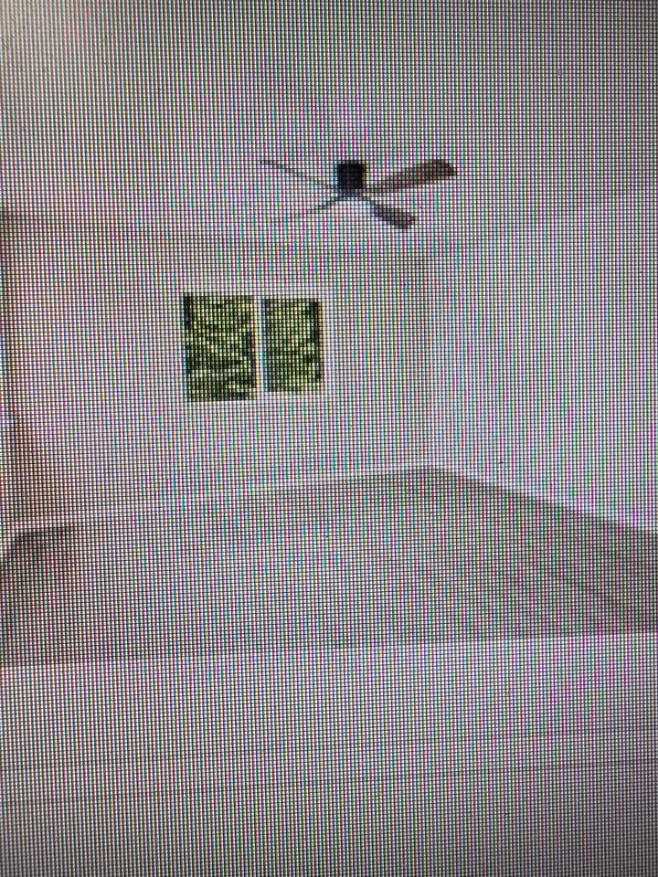 1824 Carson St #B - Photo 5 of 5
