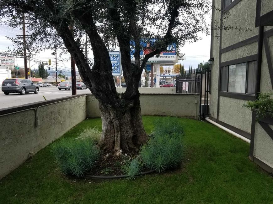 10128 Moorpark St - Photo 3 of 10