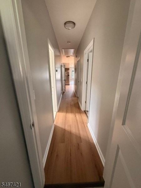 148 Lawrence St #3 - Photo 6 of 9