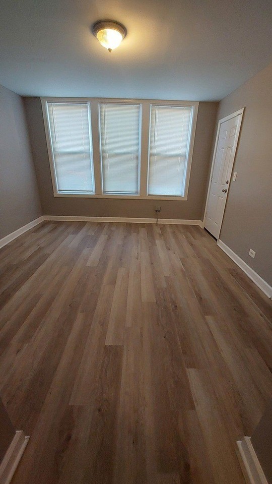 4817 S Laflin St #1F - Photo 3 of 11