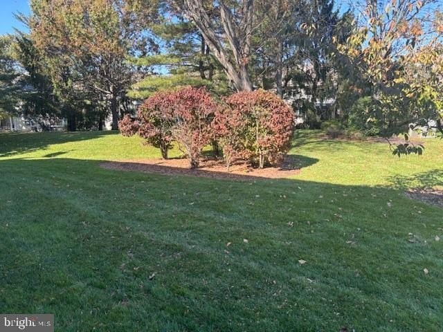 6803A Normandy Dr - Photo 2 of 18