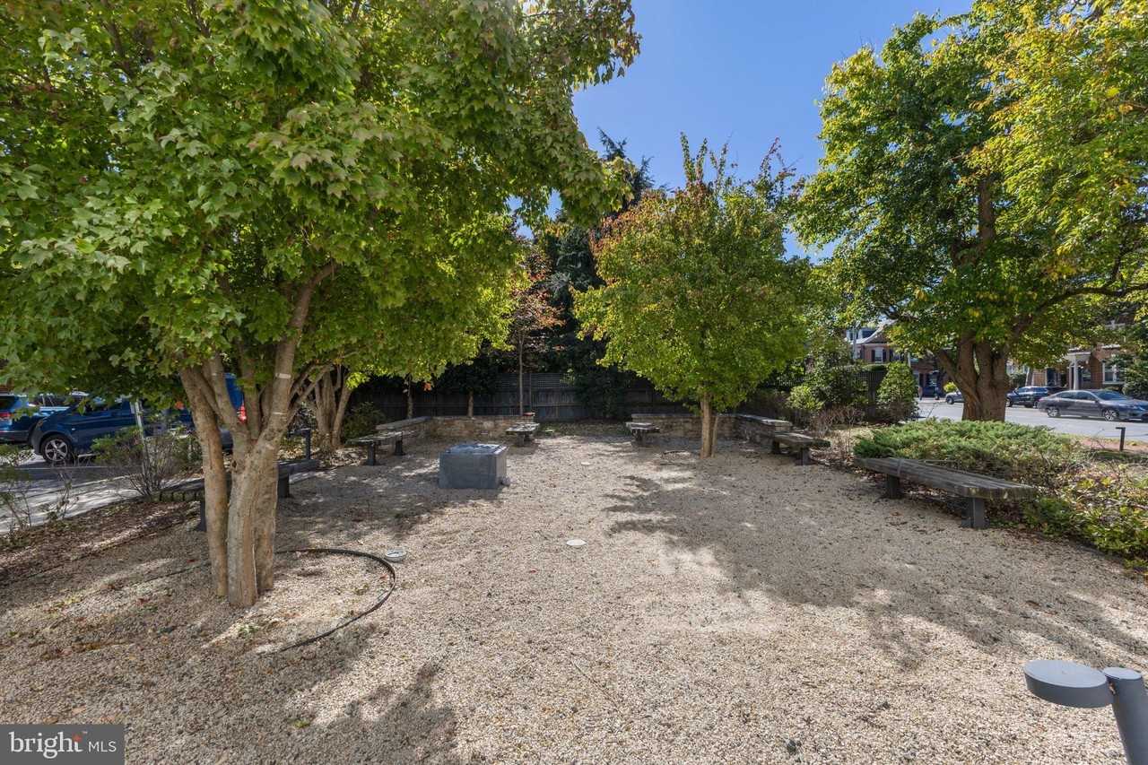 515 N Washington St #101 - Photo 4 of 26