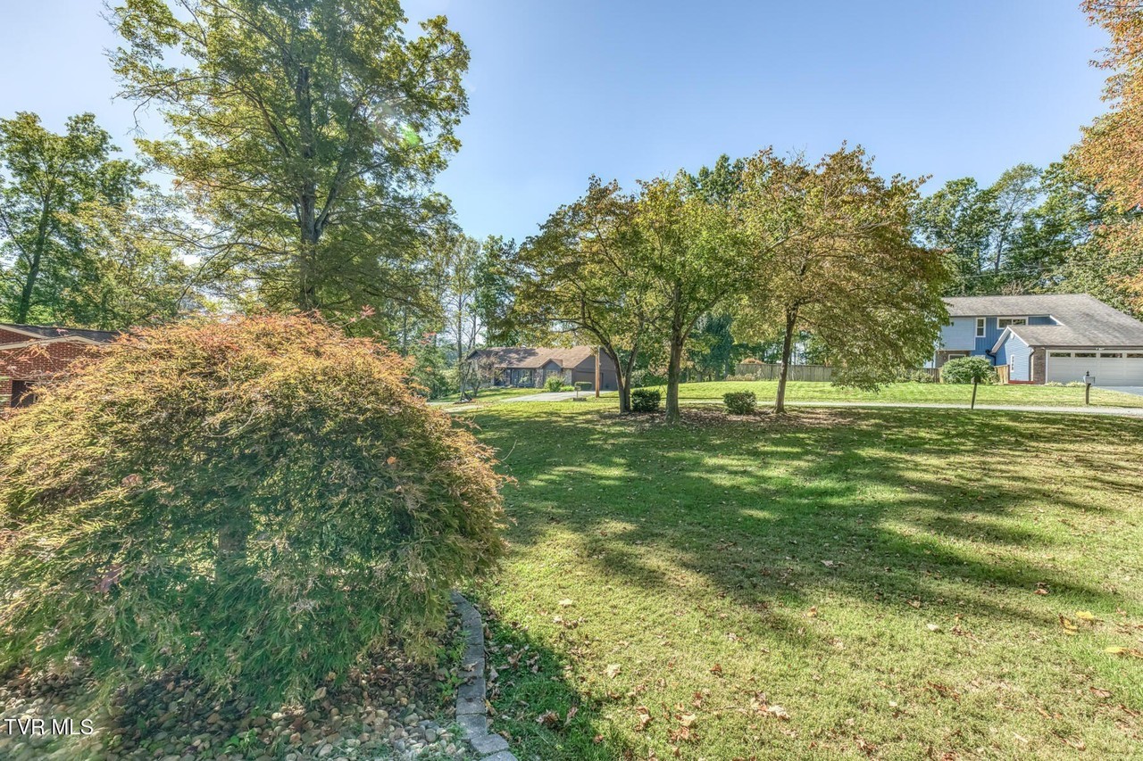 238 Picadilly Ln - Photo 3 of 50
