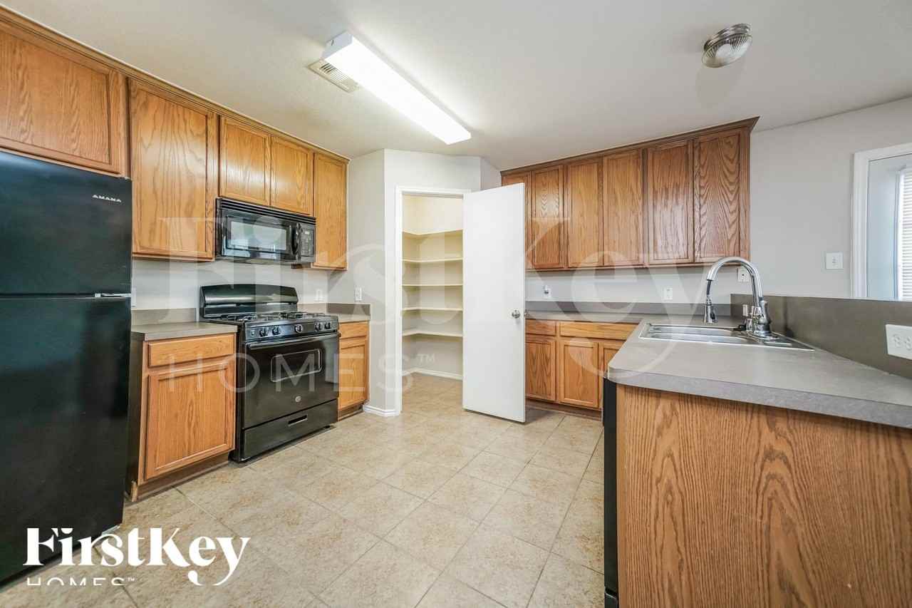 24323 Palm Cockatoo Dr - Photo 5 of 15