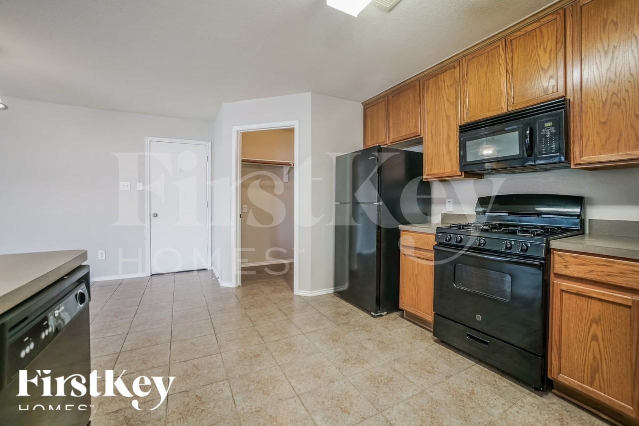 24323 Palm Cockatoo Dr - Photo 6 of 15
