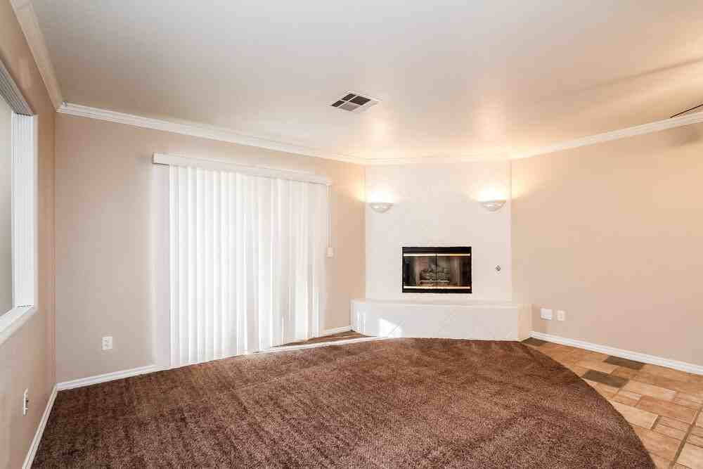 433 Elysian Plains Ct - Photo 7 of 17