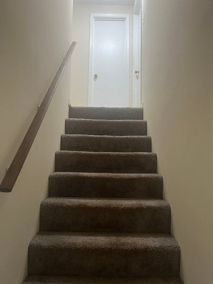7357 Strain Ave - Photo 7 of 16