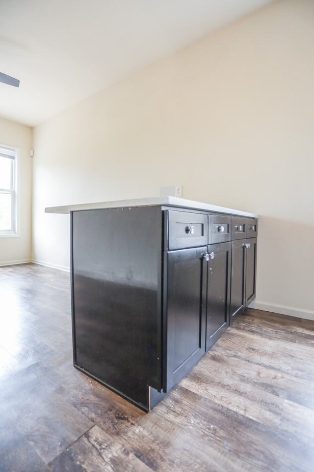 1250 W Montrose Ave #4 - Photo 3 of 11