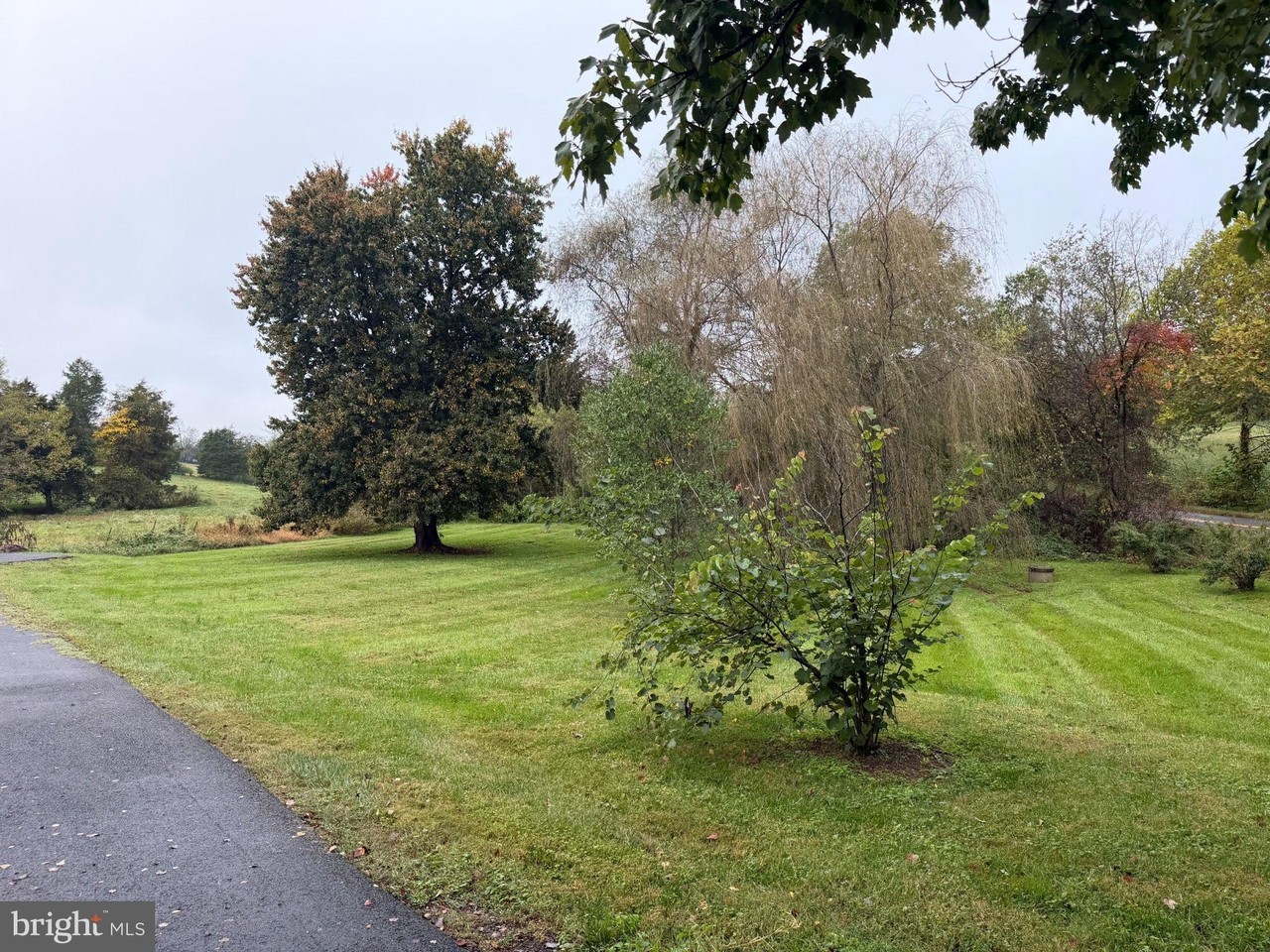 11082 Jones Mill Rd - Photo 3 of 8