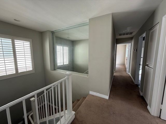1144 La Vida Ct #1 - Photo 7 of 31