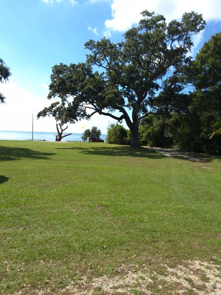 1156 Beach Blvd #NA - Photo 6 of 24