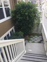 1800 Oak St #408 - Photo 1 of 1