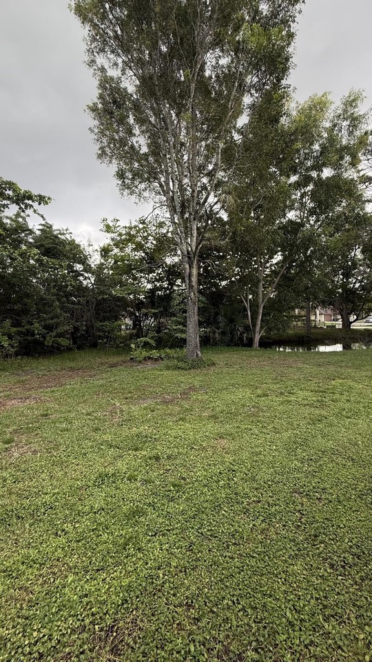 12191 Persimmon Blvd - Photo 7 of 9