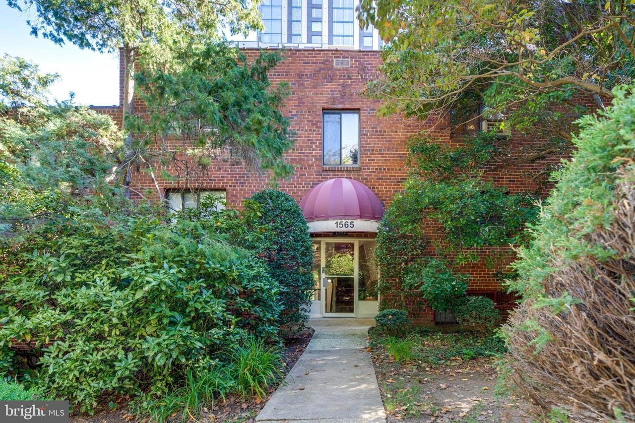 1565 N Colonial Ter #204Z