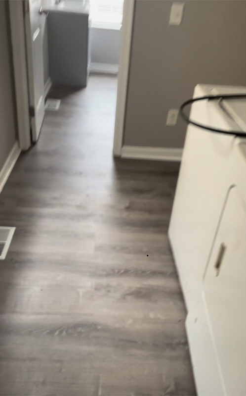 823 N Caroline St - Photo 4 of 8