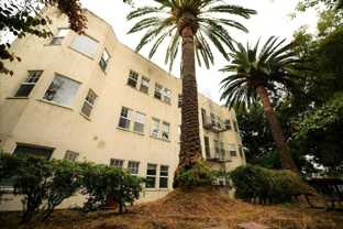 243 Athol Avenue- Oakland - Photo 1 of 1