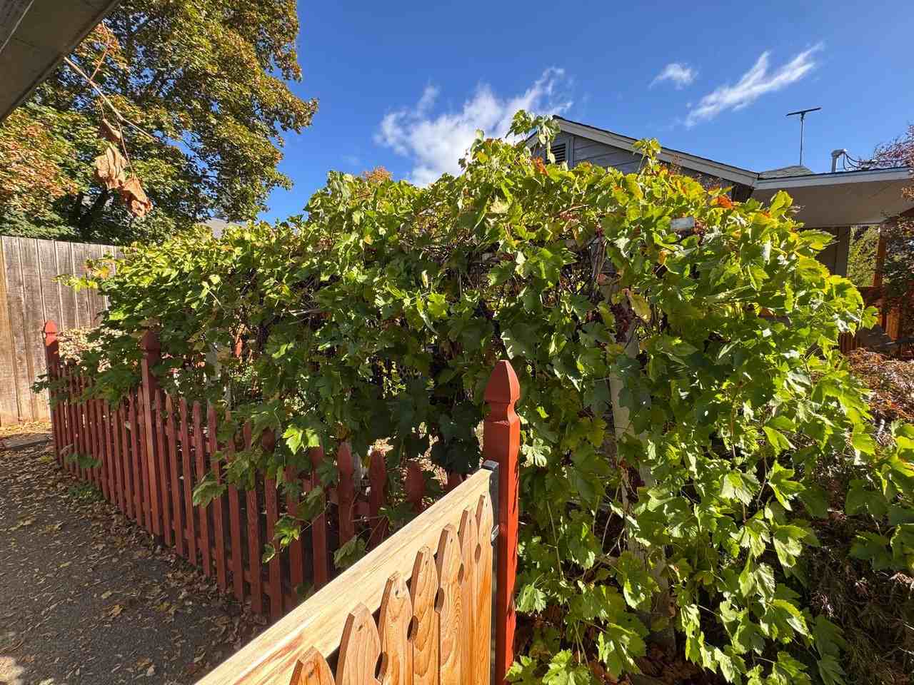 1040 Ne Madrone St - Photo 5 of 28