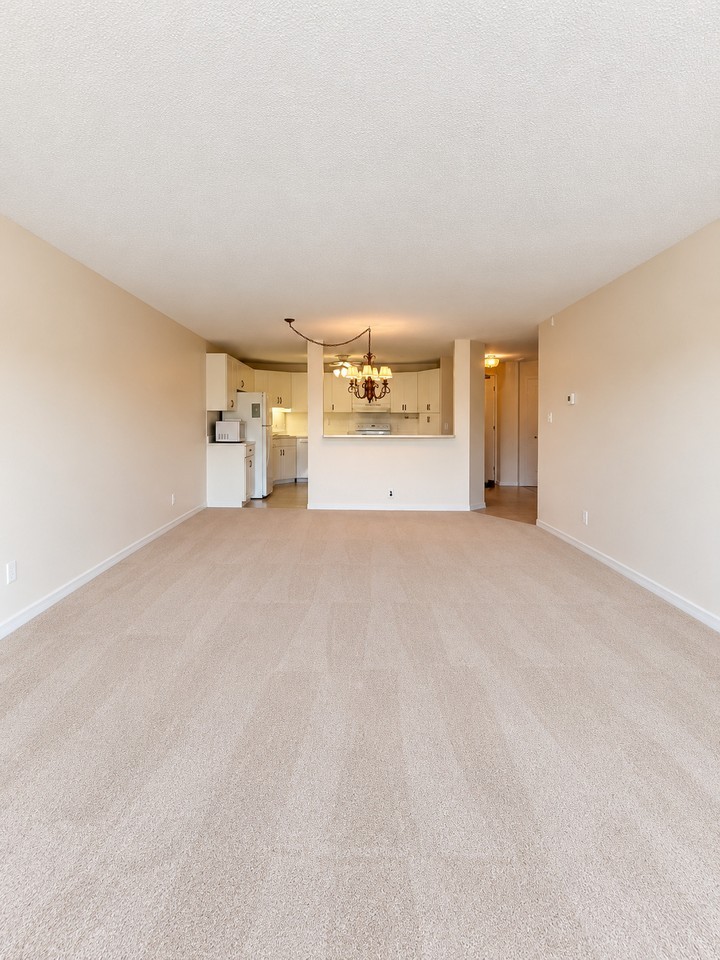 24 Marilyn Drive #505 - Photo 7 of 15