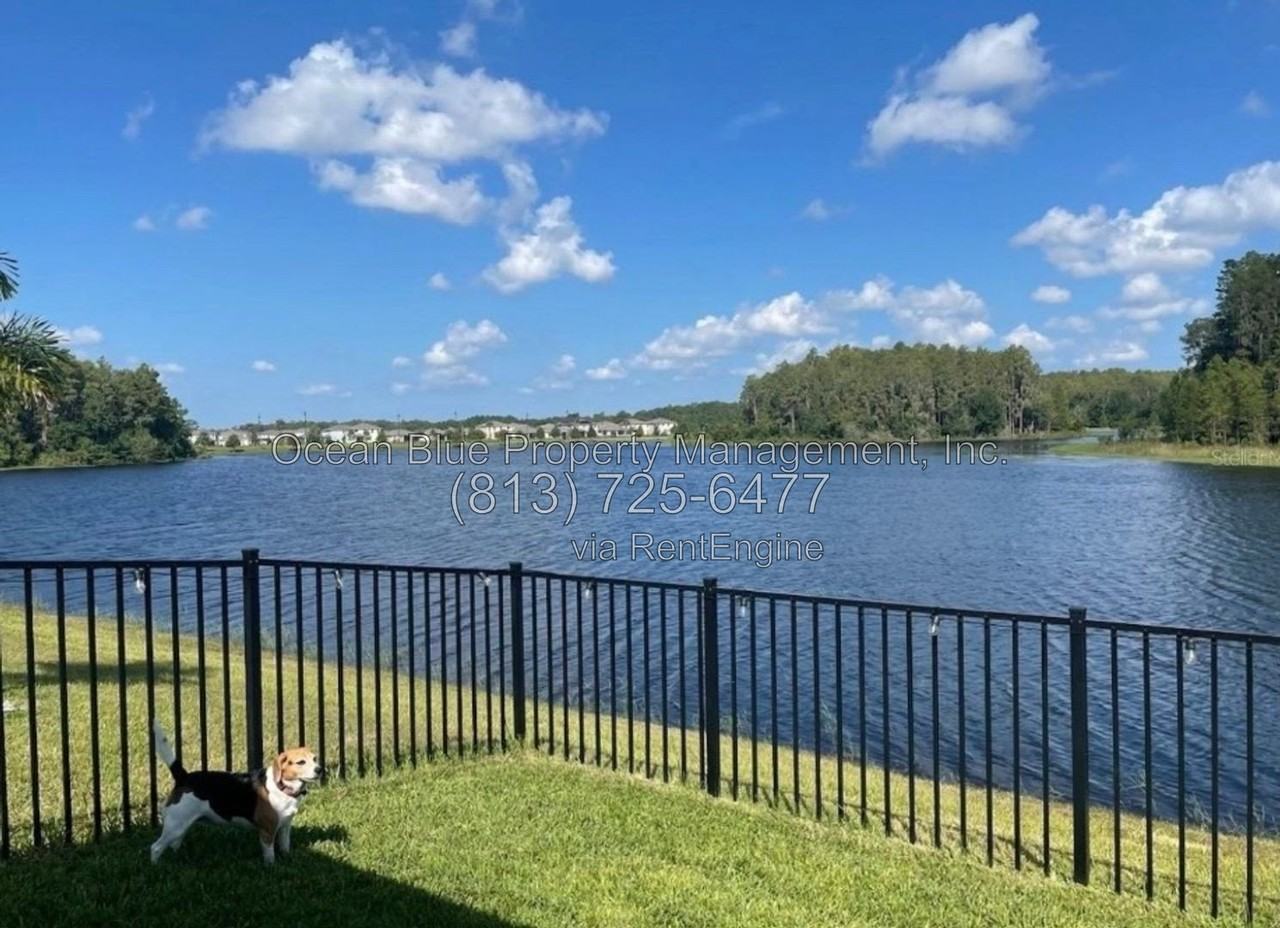 16135 Weathered Windmill Ter - Photo 3 of 13